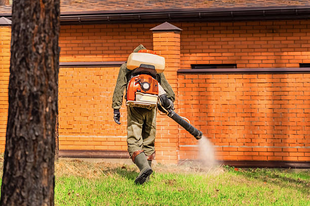 Top rated local Cockroach Control specialists in Combee Settlement, FL